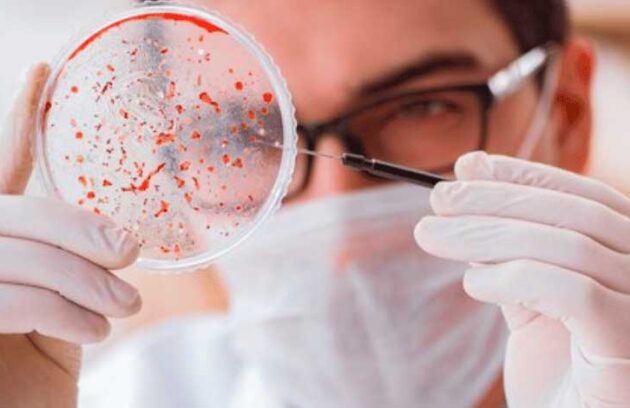 spx-clinica-spx-imagem-importancia-do-exame-parasitologico