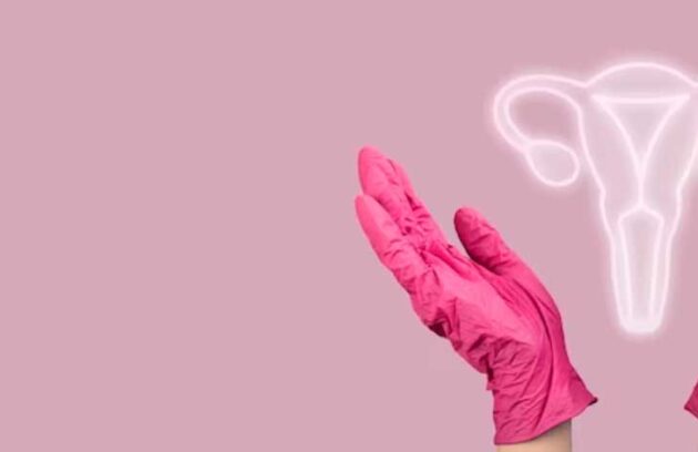 spx-clinica-spx-imagem-vulvoscopia