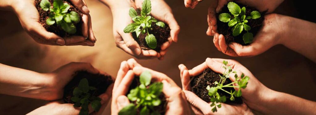 spx-clinica-spx-imagem-cuidado-do-meio-ambiente