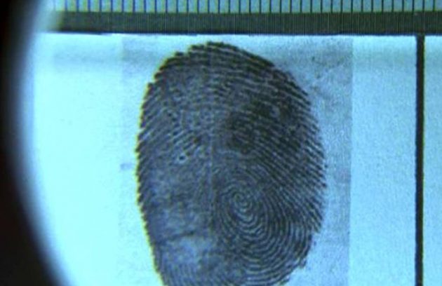 spx-clinica-spx-imagem-dia-do-papiloscopista