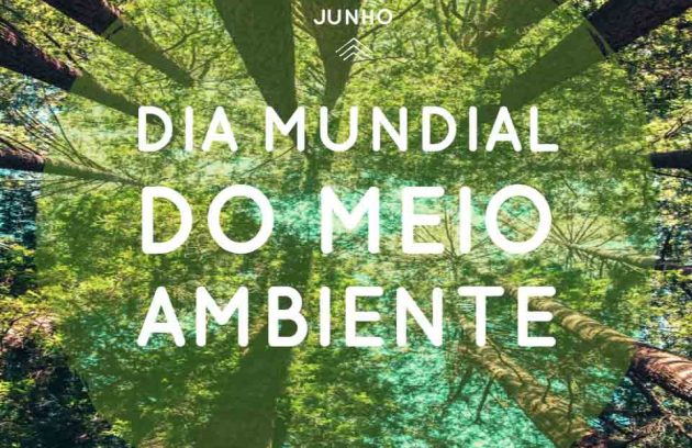 spx-clinica-spx-imagem-dia-mundial-do-meio-ambiente