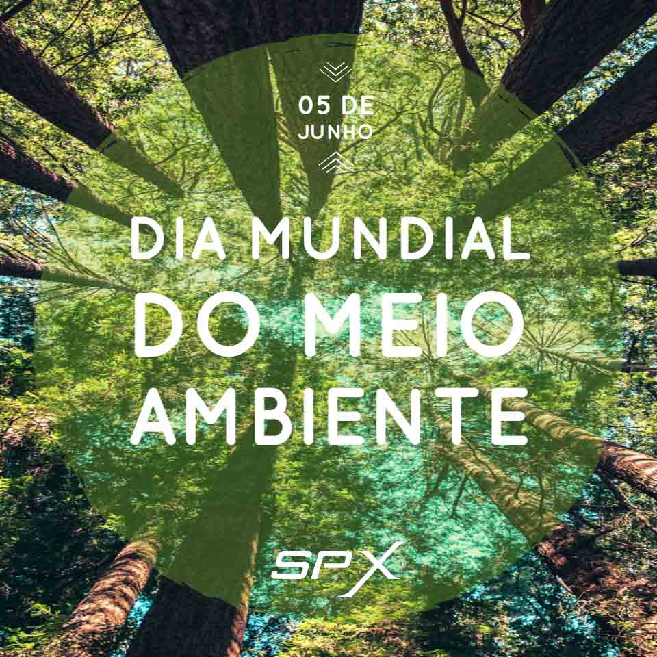 spx-clinica-spx-imagem-dia-mundial-do-meio-ambiente