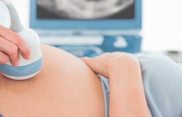 spx-clinica-spx-imagem-importancia-do-ultrassom-morfologico