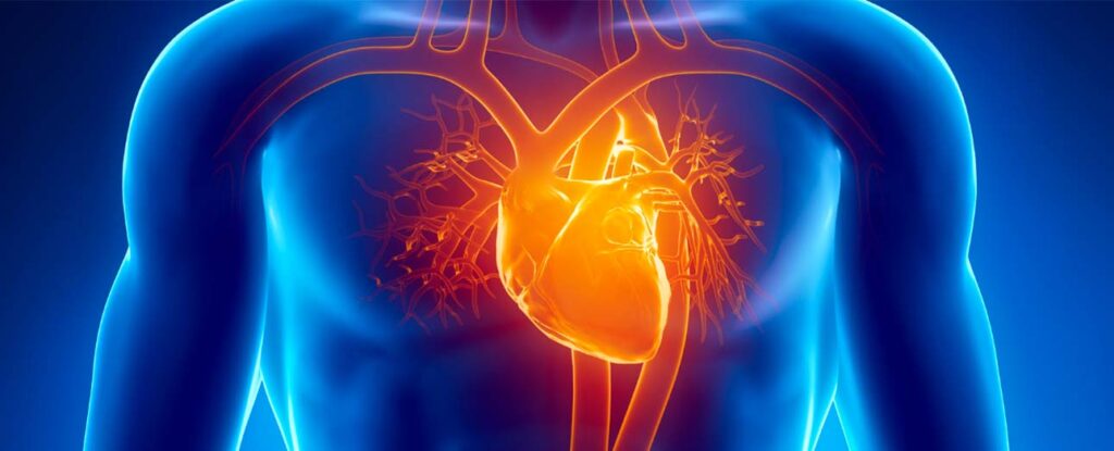 spx clinica spx imagem Doenças Cardiovasculares: quais sao os sintomas e tratamentos artigo blog saude medicina cardio vascular