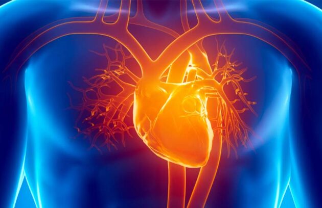 spx clinica spx imagem Doenças Cardiovasculares: quais sao os sintomas e tratamentos artigo blog saude medicina cardio vascular