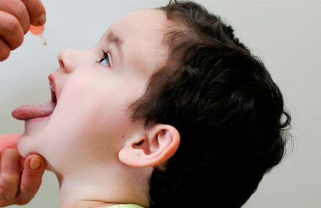 spx clinica spx imagem Risco de novos casos de Poliomielite no Brasil vacina vacinacao