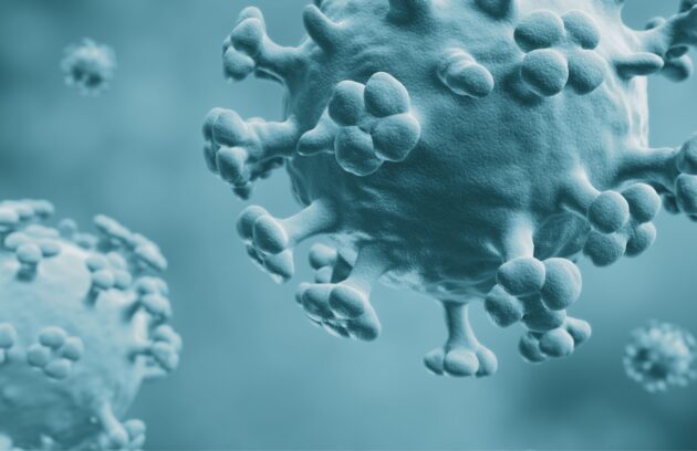 spx-clinica-spx-imagem-diagnostico-por0imagem-gripe-aviária-brasil (2)