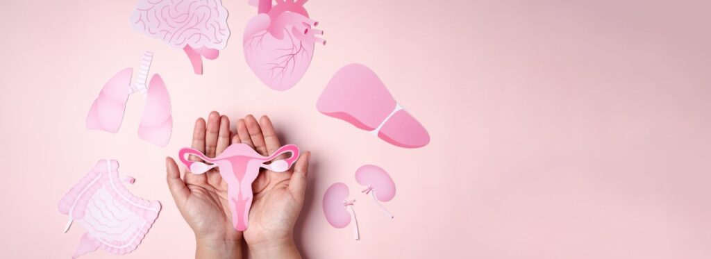 spx-clinica-spx-imagem-importancia-ultrassom-saude-da-mulher (2)