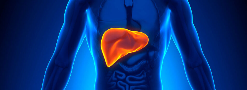 spx-clinica-spx-imagem-gordura-no-figado