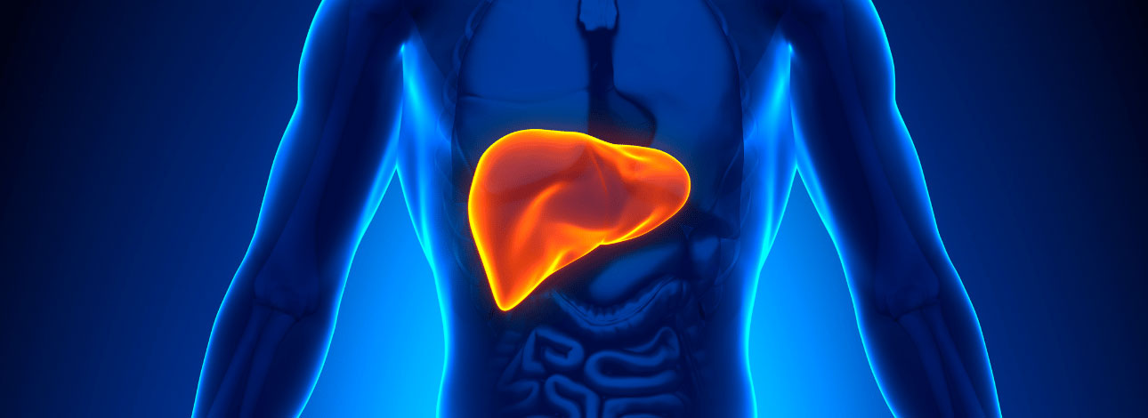 spx-clinica-spx-imagem-gordura-no-figado