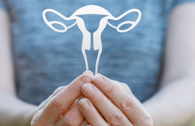 spx-clinica-spx-imagem-miomas-uterinos