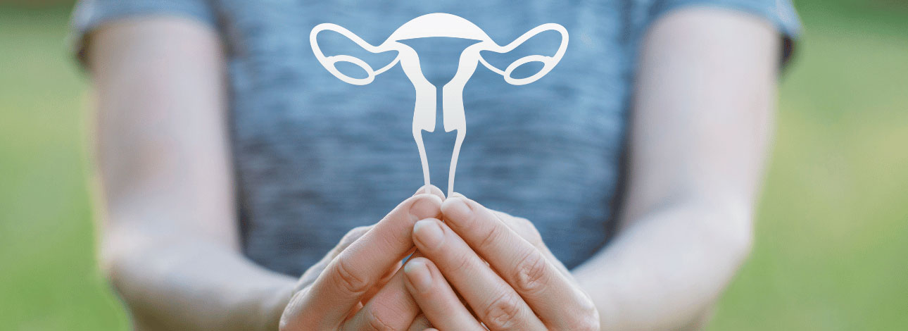 spx-clinica-spx-imagem-miomas-uterinos