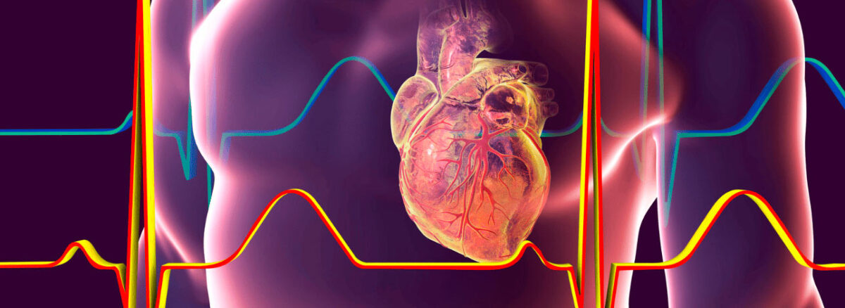 spx-clinica-spx-imagem-simular-funcoes-dos-orgaos-spx