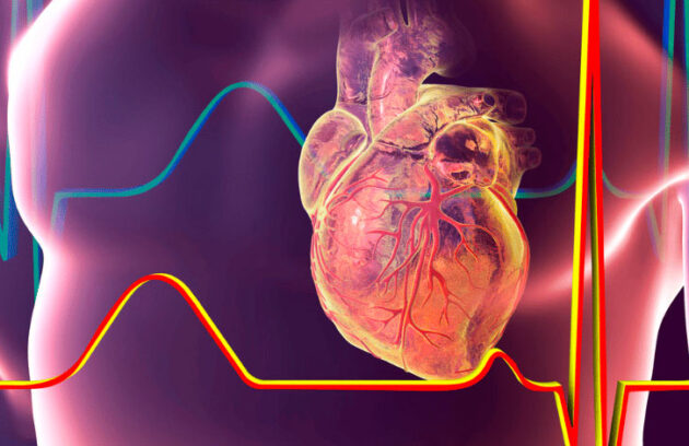 spx-clinica-spx-imagem-simular-funcoes-dos-orgaos-spx