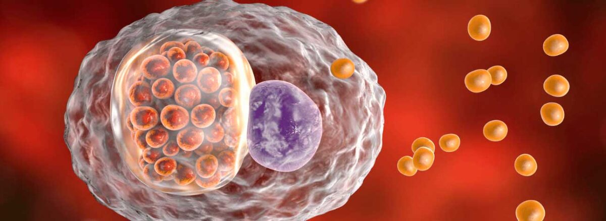 spx-clinica-spx-imagem-teste-para-clamidia-e-gonorreia
