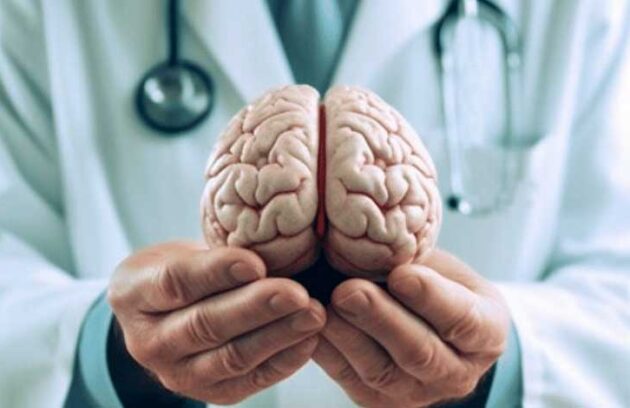 spx-clinica-spx-imagem-funcao-cognitiva-contra-o-alzheimer