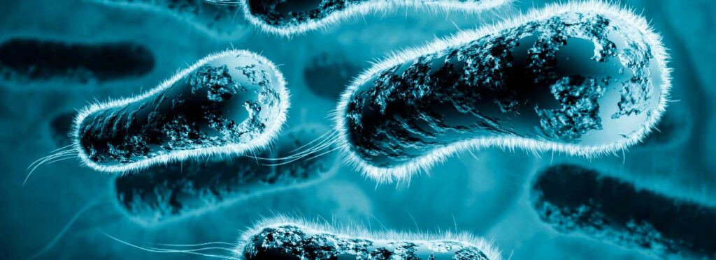 spx-clinica-spx-imagem-antibioticos-podem-eliminar-superbacterias