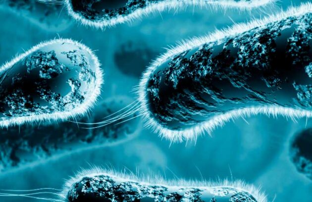 spx-clinica-spx-imagem-antibioticos-podem-eliminar-superbacterias