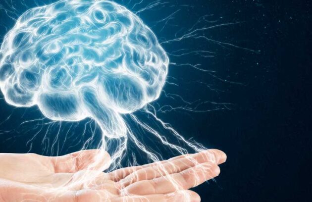 spx-clinica-spx-imagem-mudancas-no-cerebro-resultantes-da-perda-auditiva-spx