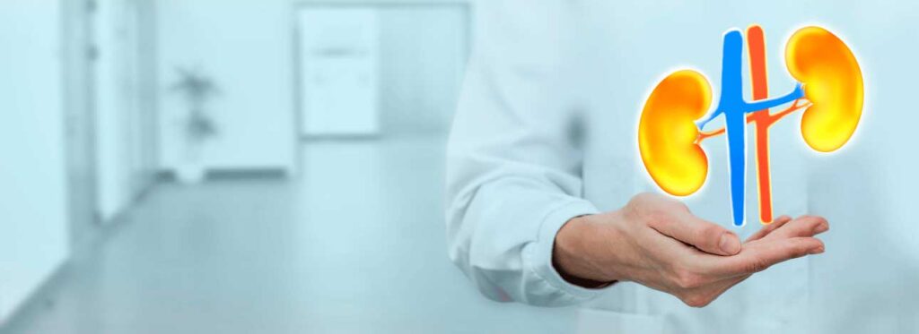 spx-clinica-spx-imagem-mutacoes-causam-doencas-renais