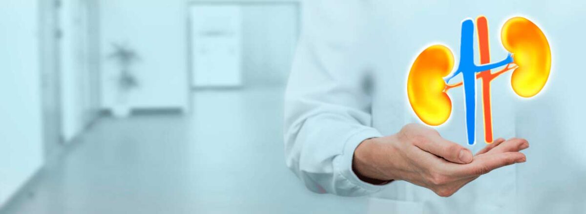 spx-clinica-spx-imagem-mutacoes-causam-doencas-renais