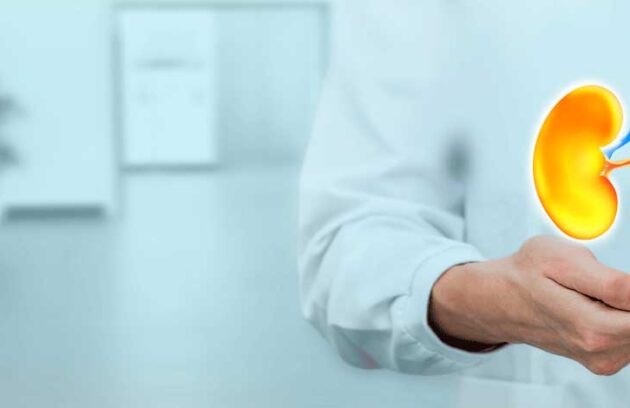 spx-clinica-spx-imagem-mutacoes-causam-doencas-renais