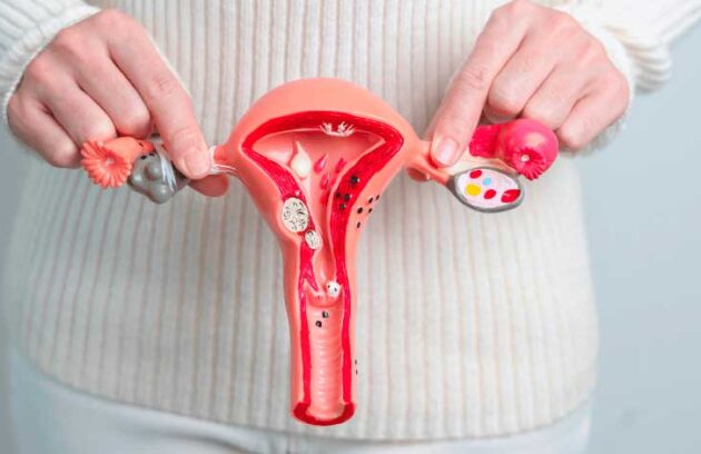 spx-clinica-spx-imagem-conexao-entre-hpv-e-cancer-do-colo-do-utero