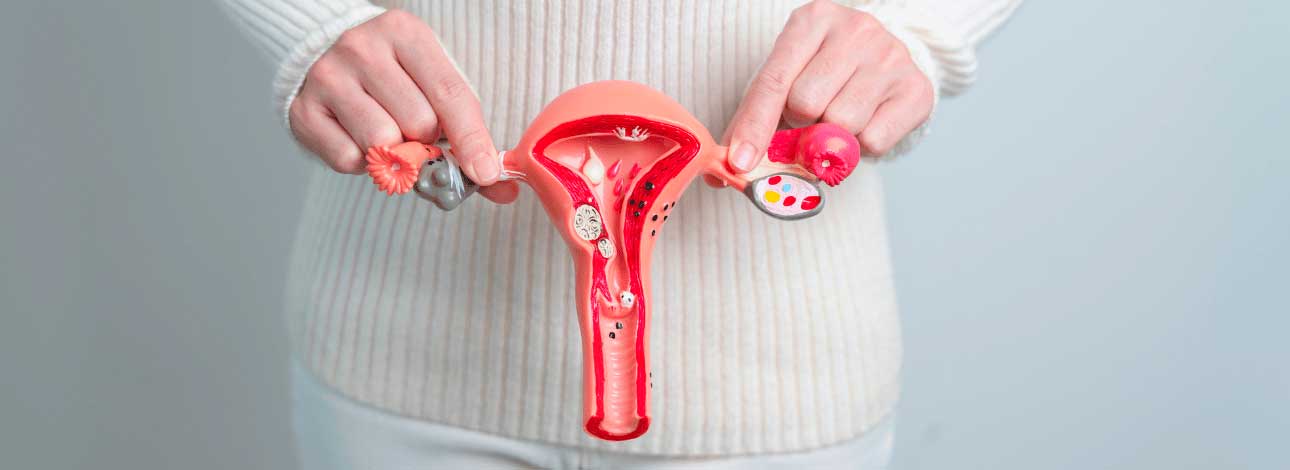 spx-clinica-spx-imagem-conexao-entre-hpv-e-cancer-do-colo-do-utero