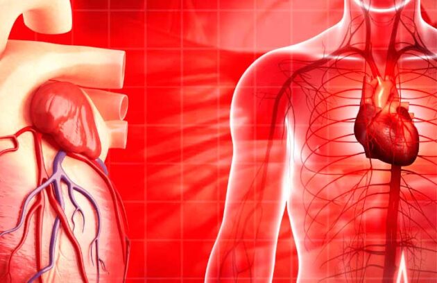 spx-clinica-spx-imagem-impacto-dos-fatores-socioambientais-nos-ataques-cardiacos