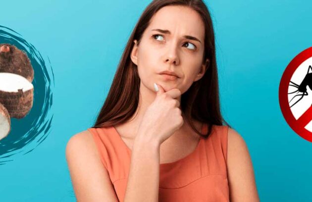 spx-clinica-spx-imagem-inhame-ajuda-a-combater-a-dengue