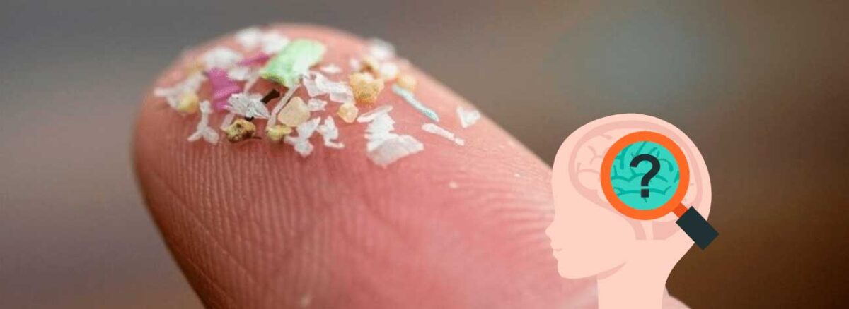 spx-clinica-spx-imagem-riscos-dos-microplasticos-para-o-cerebro
