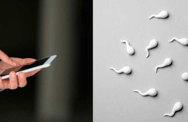 spx-clinica-spx-imagem-uso-de-celular-afeta-quantidade-de-espermatozoides