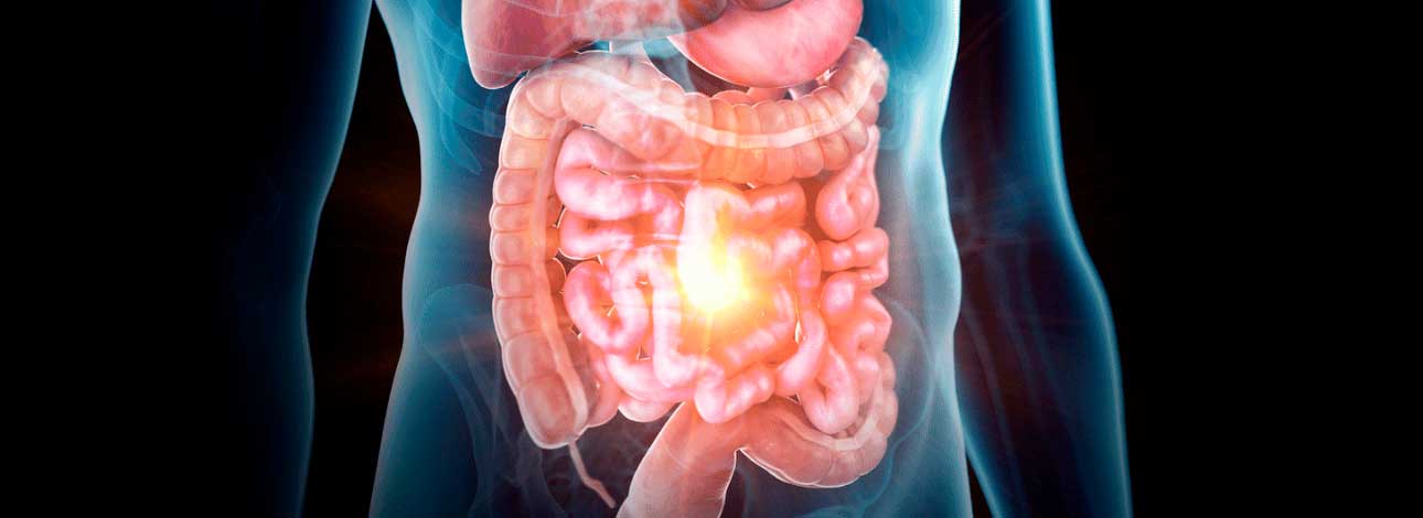Estudo: Feridas na Pele Podem Impactar o Intestino