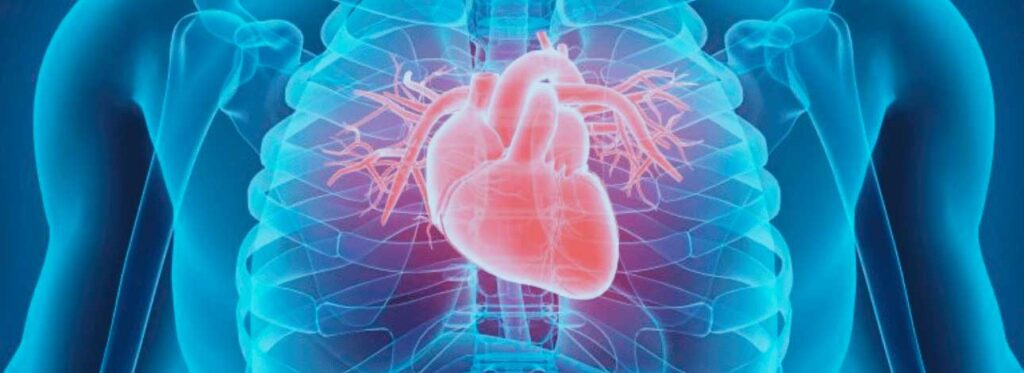 spx-clinica-spx-imagem-infeccoes-podem-afetar-o-coracao-capa