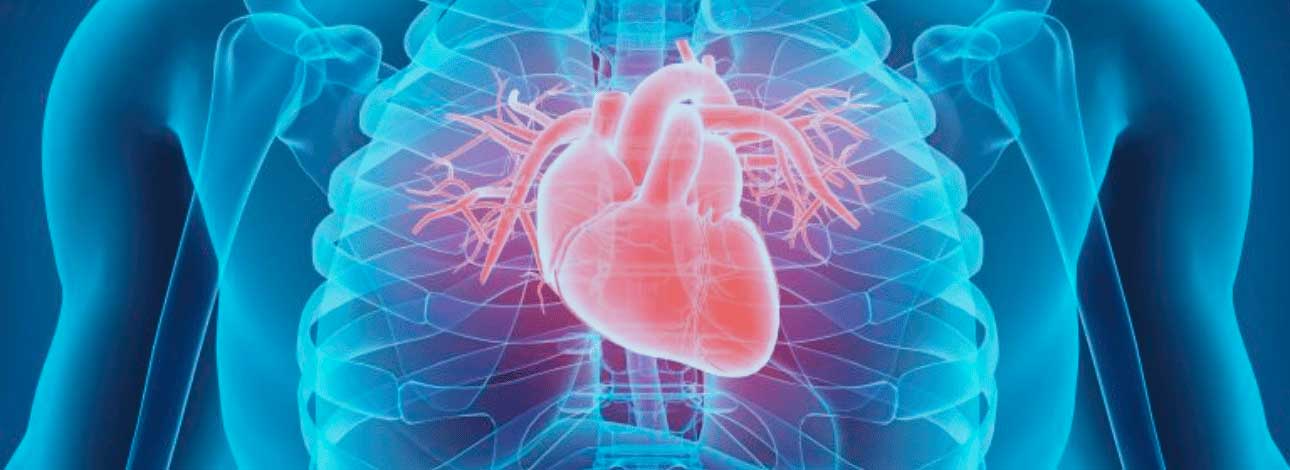 spx-clinica-spx-imagem-infeccoes-podem-afetar-o-coracao-capa