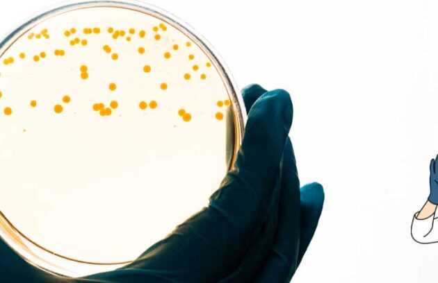 spx-clinica-spx-imagem-pesquisa-aponta-1-milhao-de-substancias-contra-bacterias