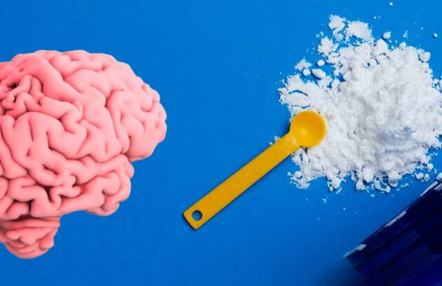 spx-clinica-spx-imagem-beneficios-da-creatina-para-a-saude-cerebral