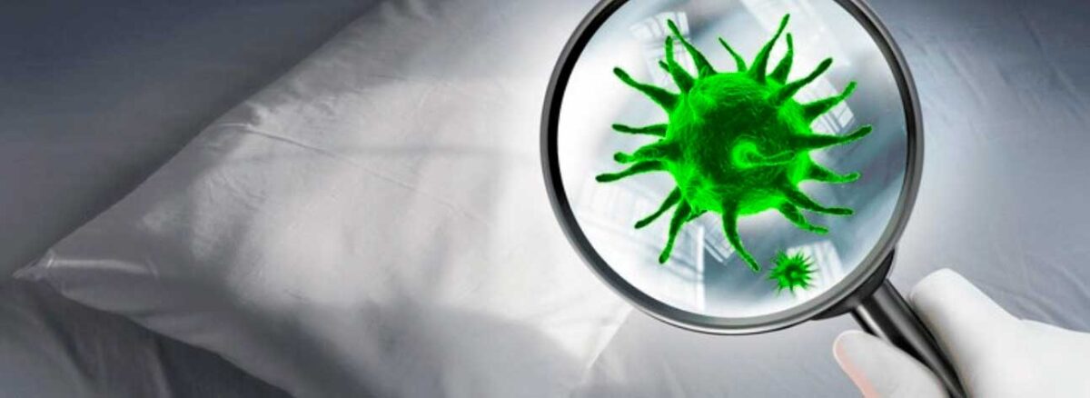 spx-clinica-spx-imagem-como-evitar-germes-e-bacterias-no-colchao
