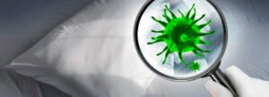 spx-clinica-spx-imagem-como-evitar-germes-e-bacterias-no-colchao