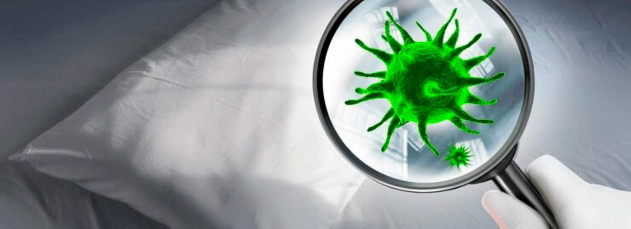 spx-clinica-spx-imagem-como-evitar-germes-e-bacterias-no-colchao