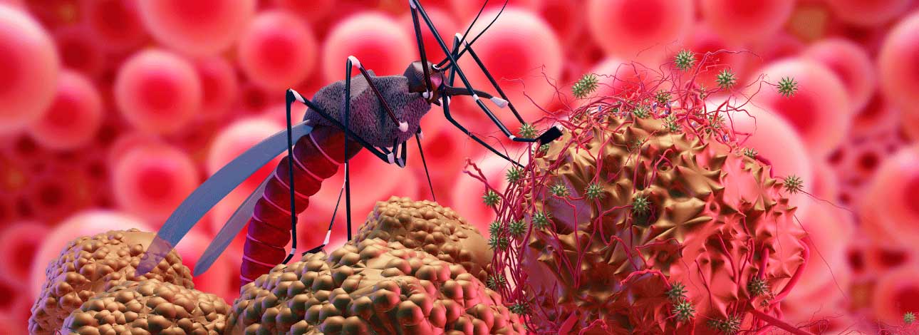 spx-clinica-spx-imagem-como-mudancas-climaticas-podem-elevar-casos-de-malaria