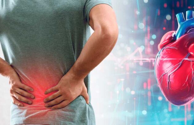 spx-clinica-spx-imagem-dor-pode-afetar-o-sistema-cardiovascular