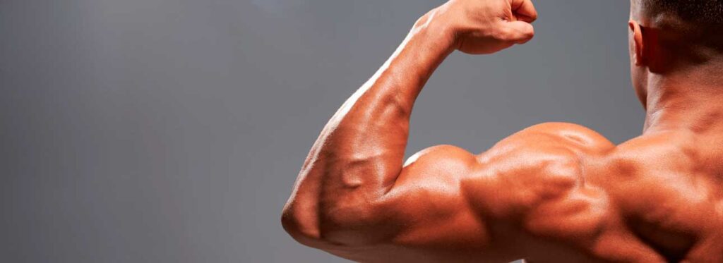 spx-clinica-spx-imagem-funcao-da-testosterona-no-organismo