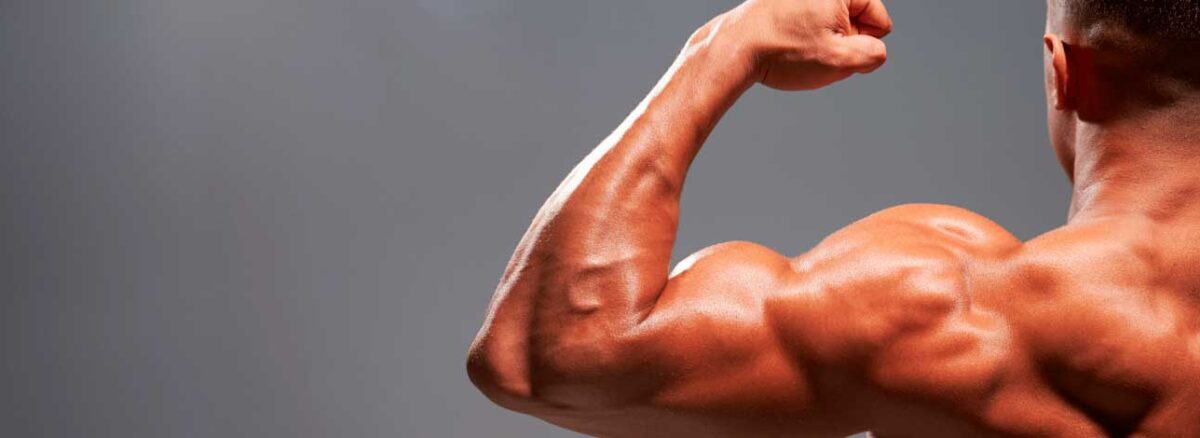 spx-clinica-spx-imagem-funcao-da-testosterona-no-organismo