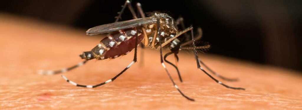 spx-clinica-spx-imagem-dengue-pode-aumentar-chance-de-depressao