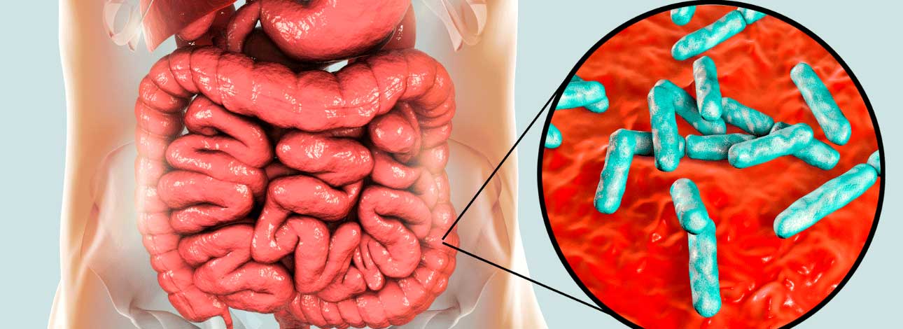 spx-clinica-spx-imagem-entenda-a-relacao-entre-autismo-e-o-microbioma-intestinal