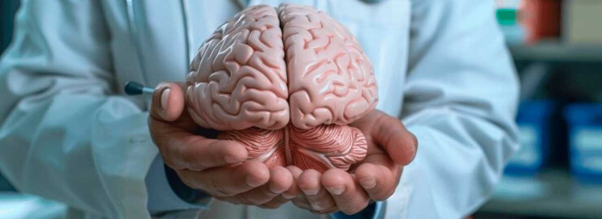 spx-clinica-spx-imagem-casos-de-demencia-podem-ser-evitados