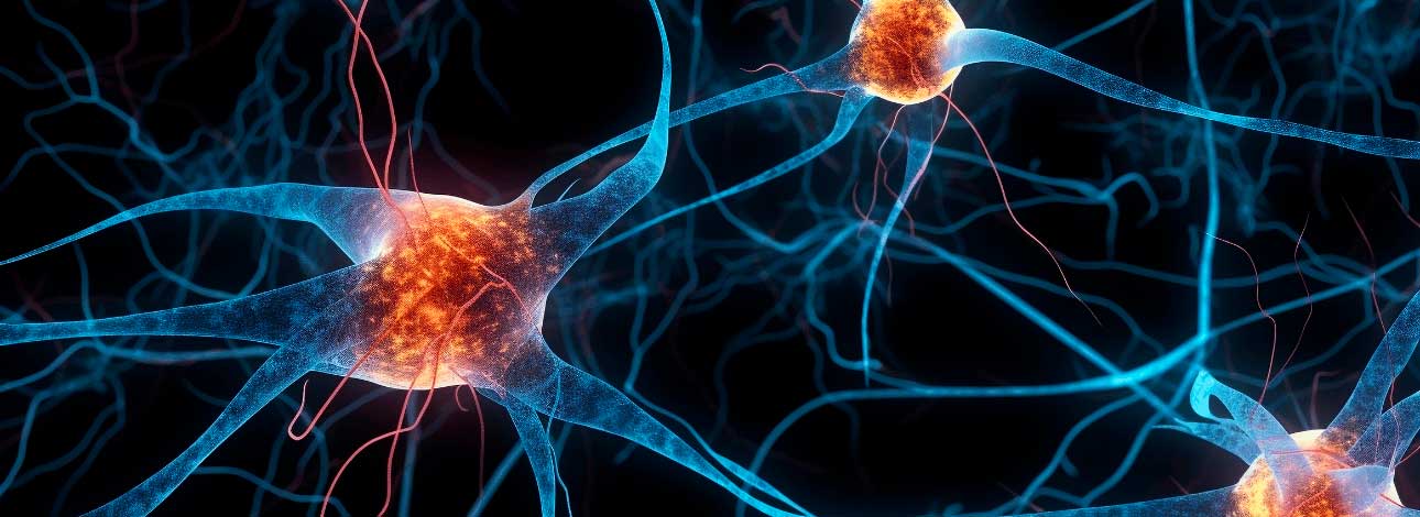 spx-clinica-spx-imagem-como-funciona-spray-nasal-contra-o-alzheimer