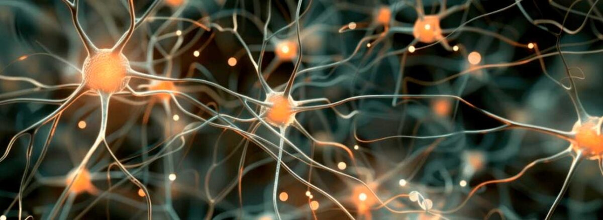 spx-clinica-spx-imagem-regeneracao-de-neuronios-antigos