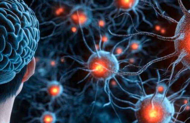 spx-clinica-spx-imagem-celulas-do-cerebro-podem-prejudicar-a-saude-mental